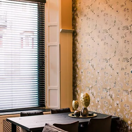 Stadsvilla Luxe 5 Sterren Appartement, Wilhelmina Appartement